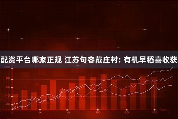 配资平台哪家正规 江苏句容戴庄村: 有机早稻喜收获