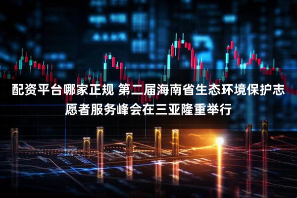 配资平台哪家正规 第二届海南省生态环境保护志愿者服务峰会在三亚隆重举行