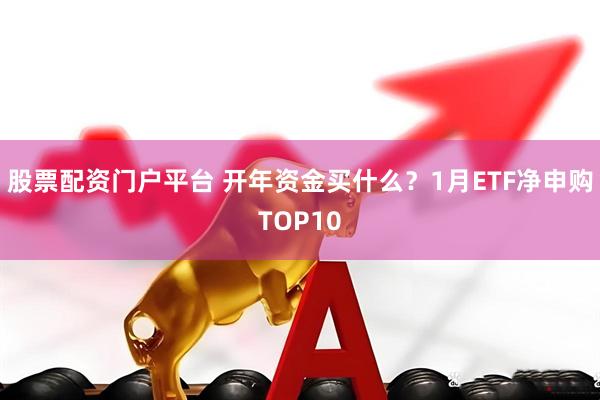 股票配资门户平台 开年资金买什么？1月ETF净申购TOP10