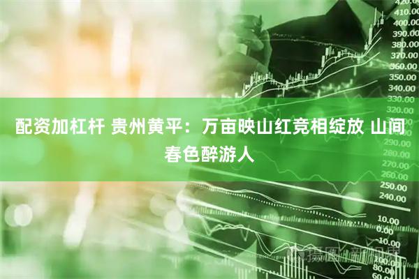 配资加杠杆 贵州黄平：万亩映山红竞相绽放 山间春色醉游人